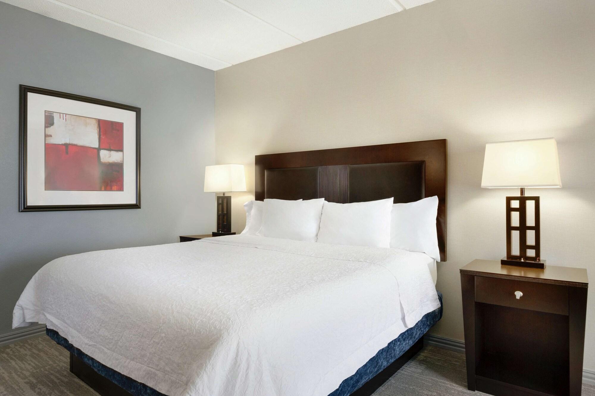 וובסטר Hampton Inn And Suites Houston Clear Lake Nasa מראה חיצוני תמונה