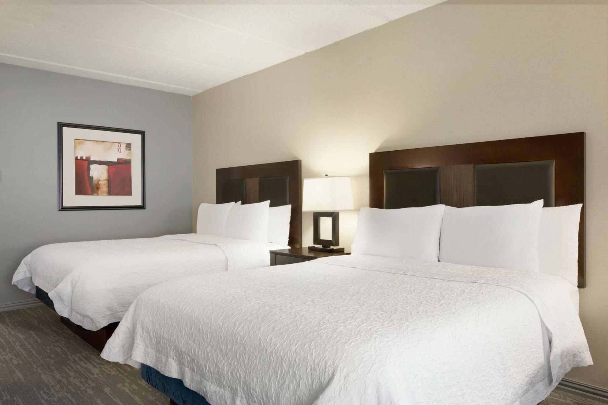 וובסטר Hampton Inn And Suites Houston Clear Lake Nasa מראה חיצוני תמונה